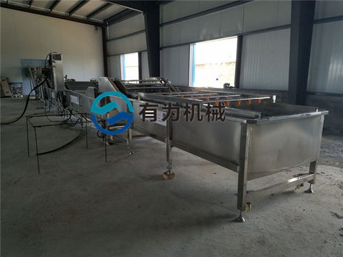 諸城有為公司 深耕蘋果清洗設(shè)備領(lǐng)域，服務(wù)海南與家用市場(chǎng)